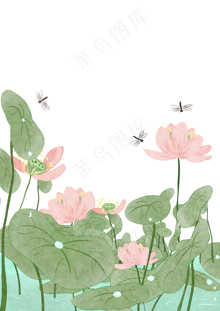 夏季荷花(2480X3508(DPI:299))psd模版下载