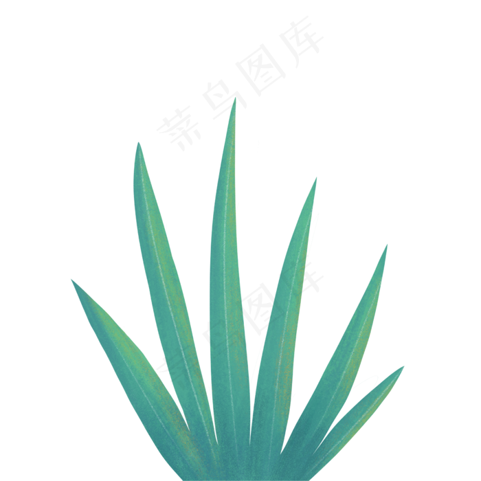 手绘绿色叶子植物绿叶花草,免抠元素