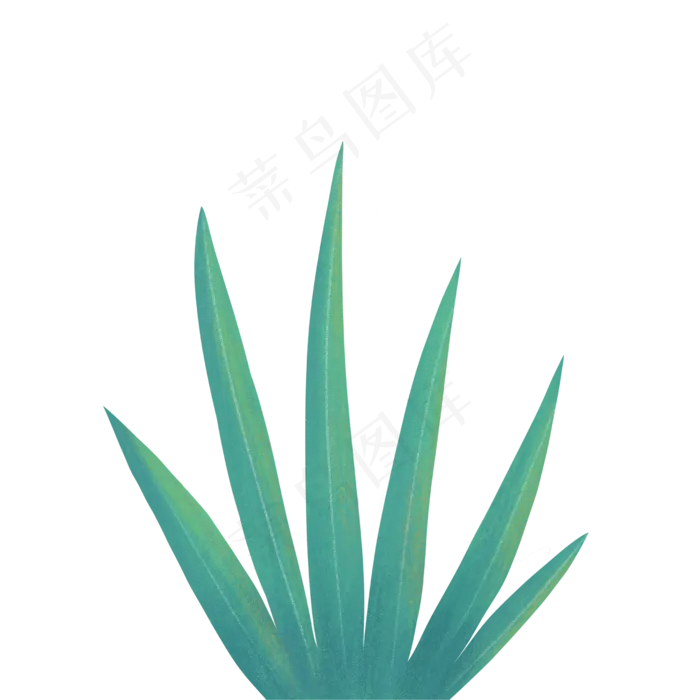 手绘绿色叶子植物绿叶花草,免抠元素