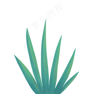 手绘绿色叶子植物绿叶花草,免抠元素