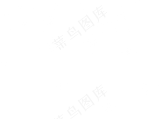 手绘白色闪光星星,免抠元素