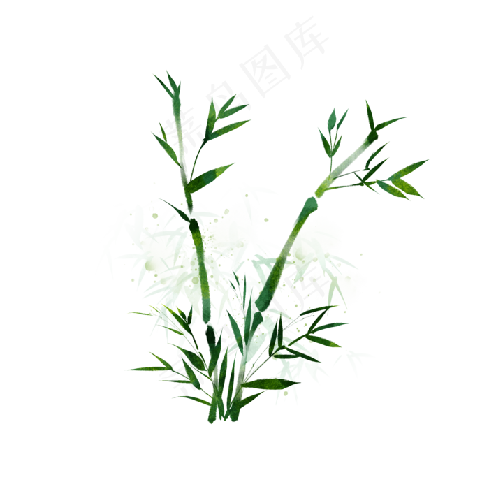 端午节竹叶叶子绿叶图片