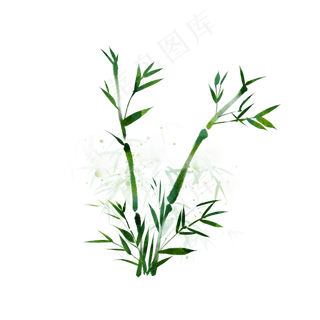 端午节竹叶叶子绿叶图片