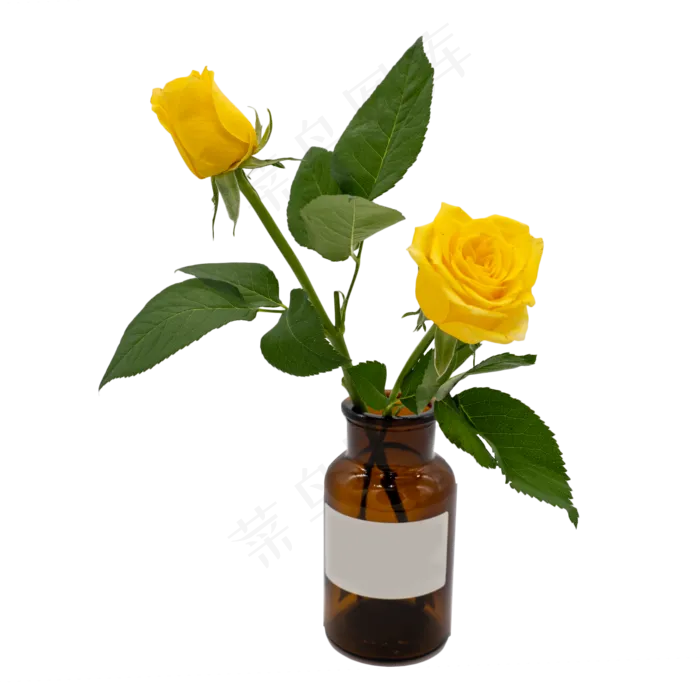 玫瑰插花棕色花瓶(2000*2000px 300 dpi )