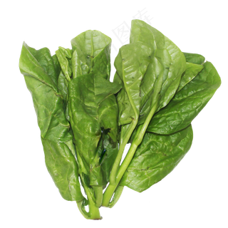 潺菜越南菠菜木苋菜,免抠元素