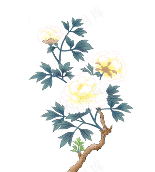 ：中国风水墨牡丹工笔,免抠元素