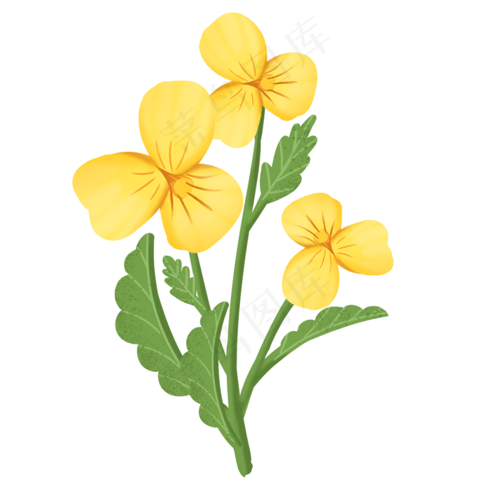 手绘小清新黄色花朵插图(2000X2000(DPI:300))psd模版下载