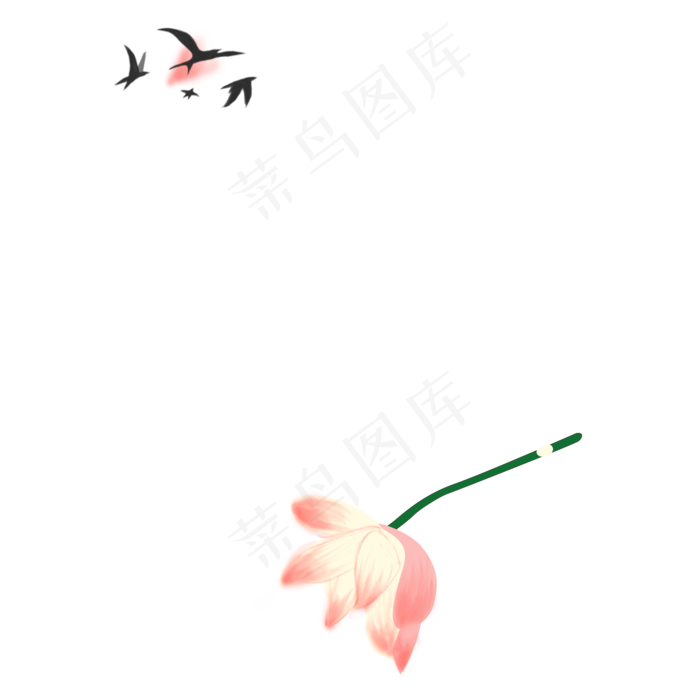 一朵漂亮的荷花和小燕子(2000X2000(DPI:300))psd模版下载