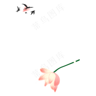 一朵漂亮的荷花和小燕子