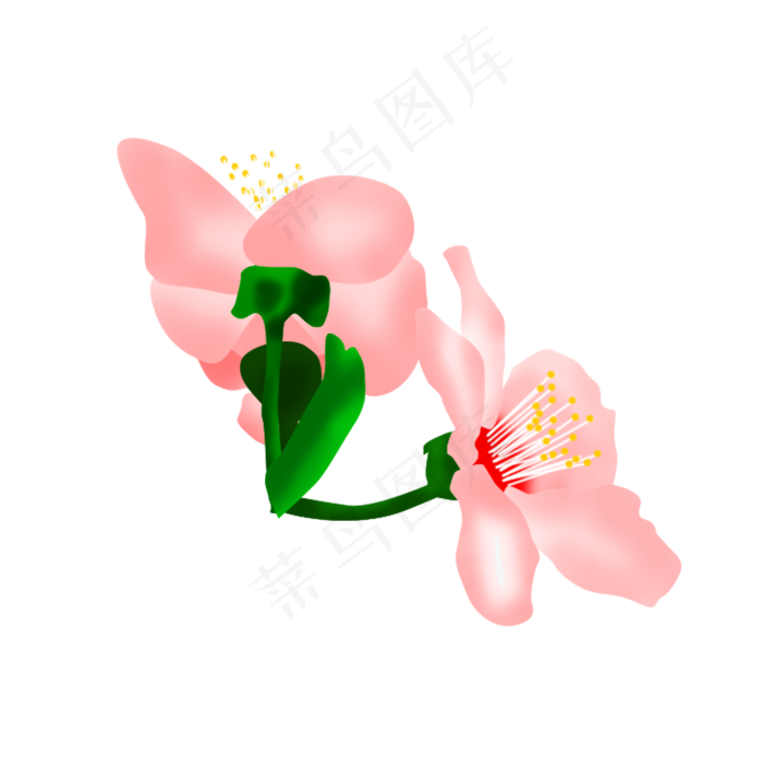 免扣卡通玉兰花粉色,免抠元素