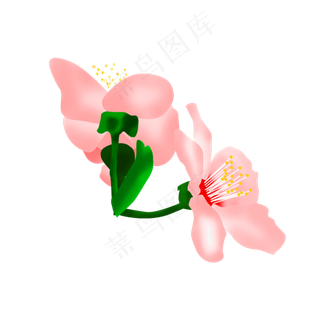 免扣卡通玉兰花粉色,免抠元素