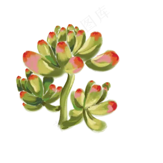 盛开茂盛的花朵免抠装饰