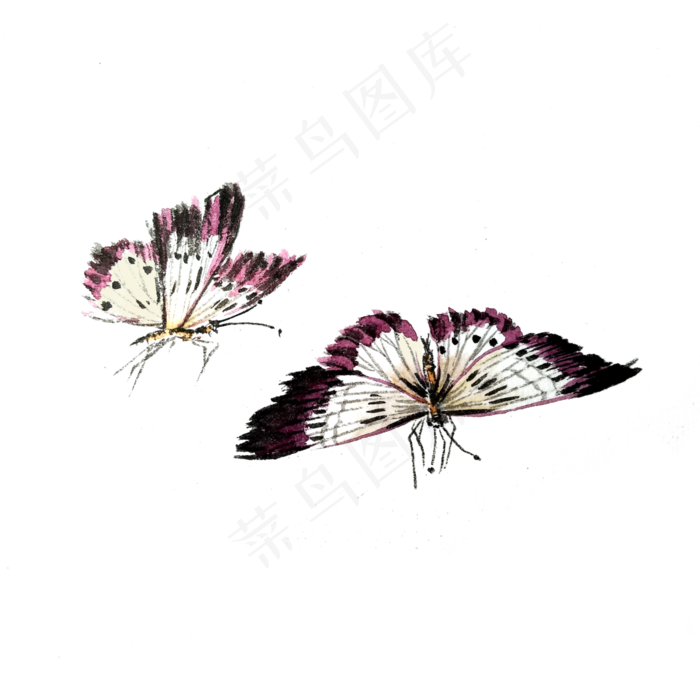 蝴蝶白色红色翅膀飞蛾PNG昆虫国画,免抠元素(3000X3000(DPI:300))psd模版下载