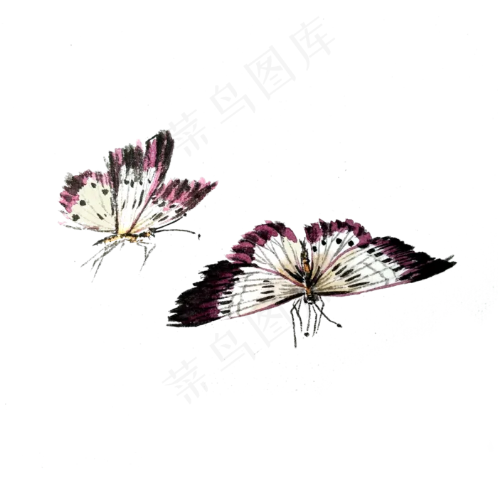 蝴蝶白色红色翅膀飞蛾PNG昆虫国画,免抠元素(3000X3000(DPI:300))psd模版下载