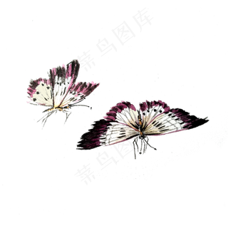 蝴蝶白色红色翅膀飞蛾PNG昆虫国画,免抠元素