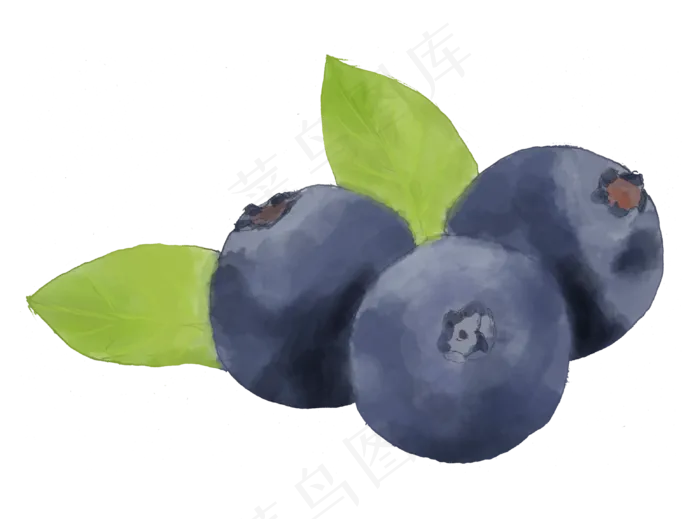 暑假到来水果蓝莓png(3100X2300(DPI:300))psd模版下载