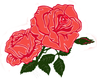 盛开的红色玫瑰花