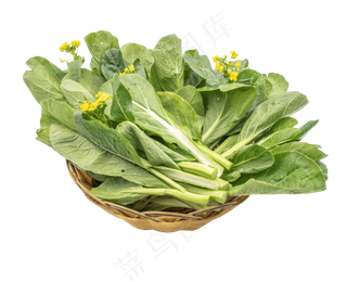 绿色蔬菜装饰,免抠元素