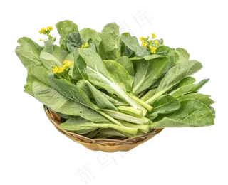 绿色蔬菜装饰,免抠元素