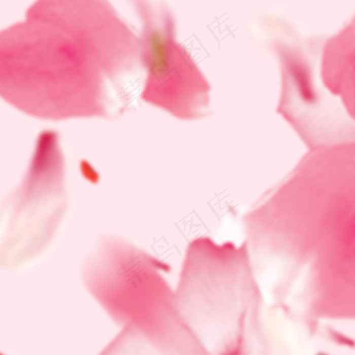 粉色桃花花瓣浪漫直通车