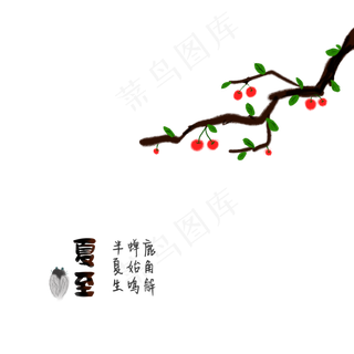 夏至二十四节气中国风果实国画