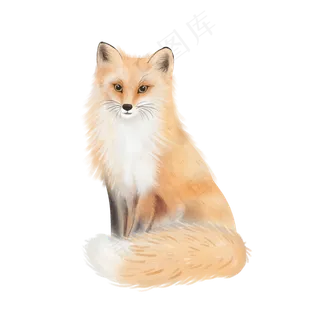 可爱动物萌狐狸,免抠元素