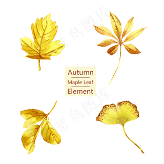 秋分手绘叶子可商用元素