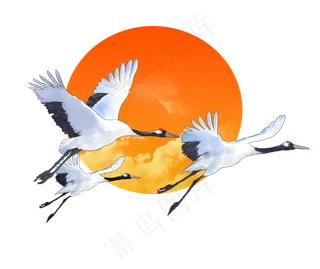 三只飞翔的仙鹤
