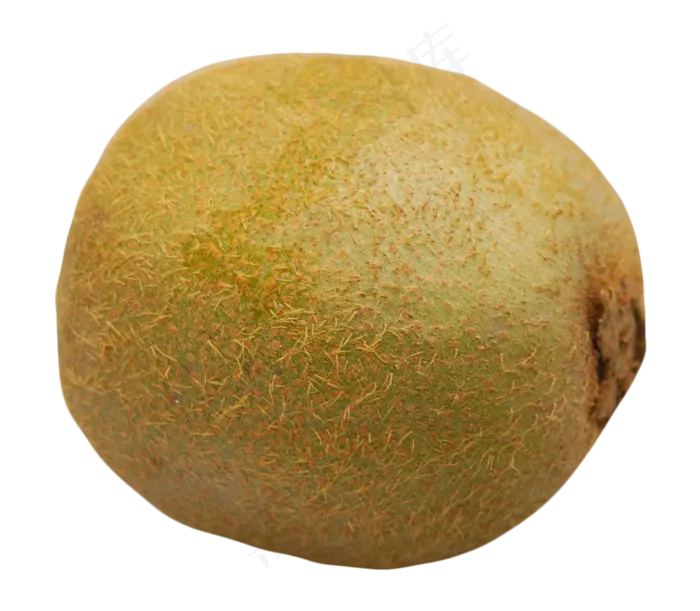 美味猕猴桃实物(2000X2000(DPI:300))