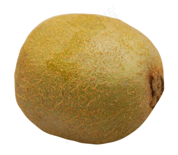 美味猕猴桃实物