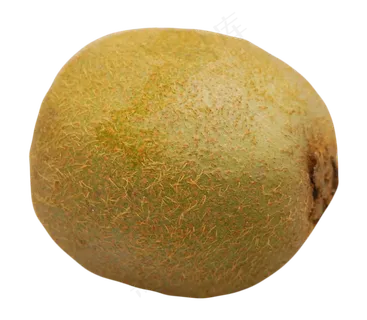 美味猕猴桃实物