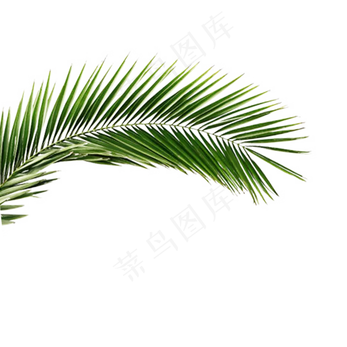 卡通春天绿色植物下载(2000*2000px 300 dpi )psd模版下载