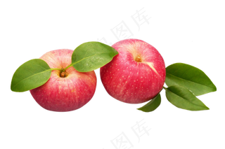 两颗红色苹果,免抠元素