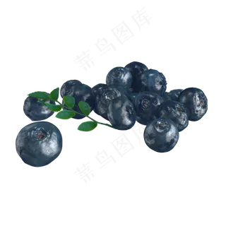 立体水果蓝莓 立体水果蓝莓