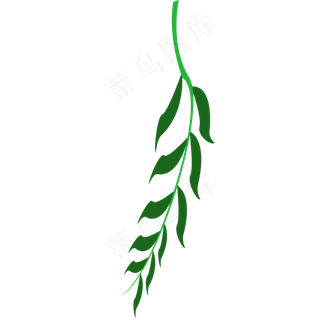 一个绿色春季植物