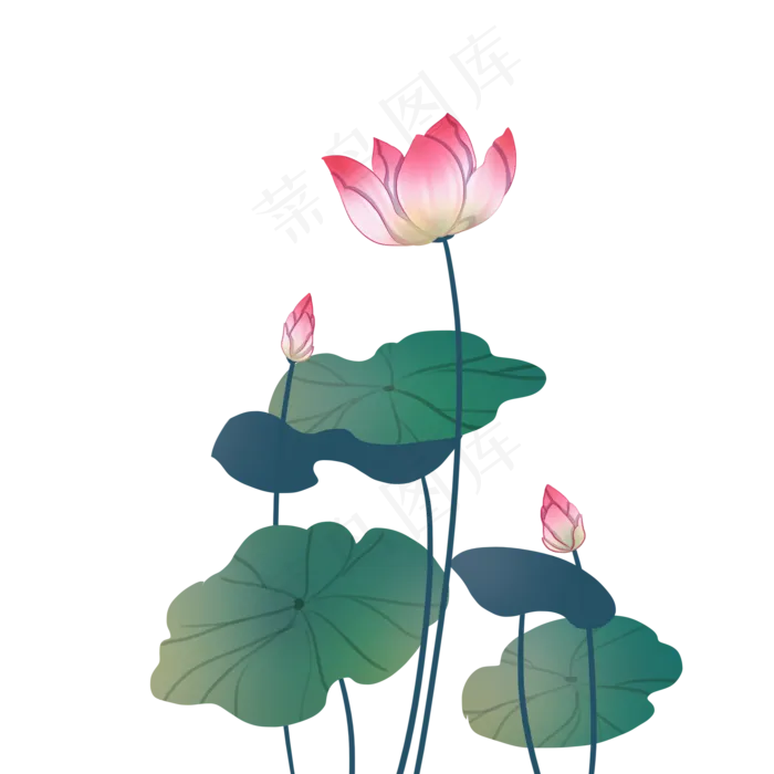 粉色荷花植物,免抠元素(2000*2000px 300 dpi )psd模版下载