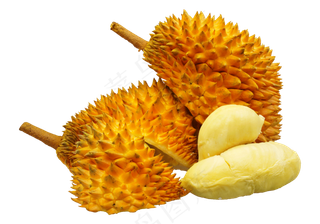 黄色的榴莲