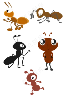 蚁蚂蚁白蚁动物家蚁繁殖力极强,免抠元素