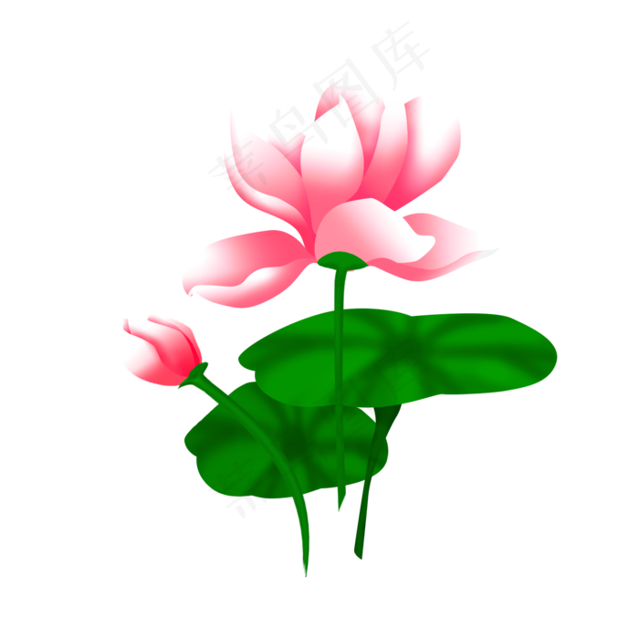 矢量手绘荷花荷叶(2000X2000(DPI:300))psd模版下载