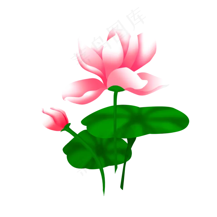 矢量手绘荷花荷叶(2000X2000(DPI:300))psd模版下载