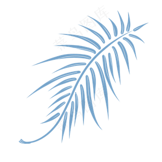 绿色棕榈叶植物图