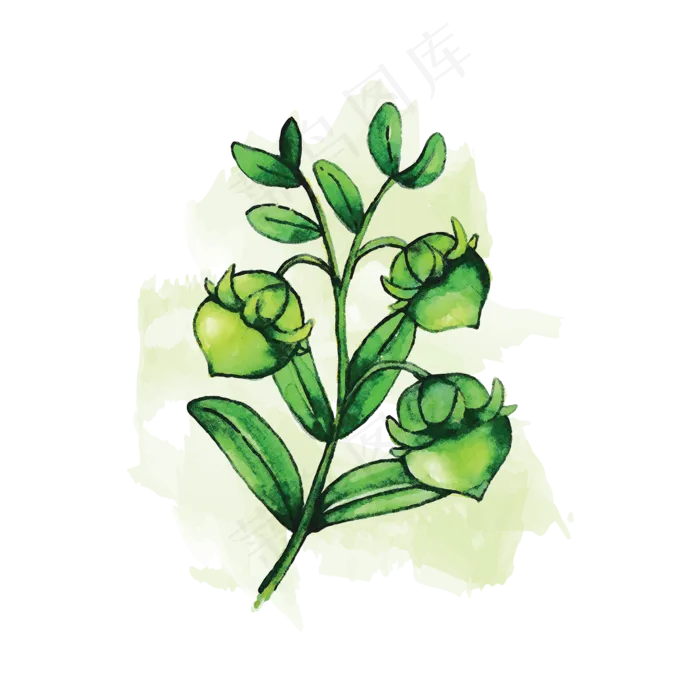 卡通手绘霍霍巴籽矢量素材ai矢量模版下载