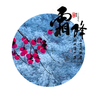 霜降成熟柿子 霜降成熟柿子