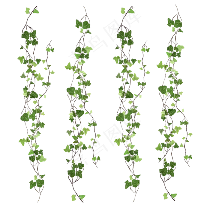 藤蔓绿色漂浮叶子,免抠元素(2000*2000px 300 dpi )psd模版下载