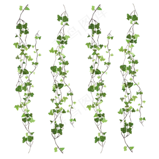 藤蔓绿色漂浮叶子,免抠元素