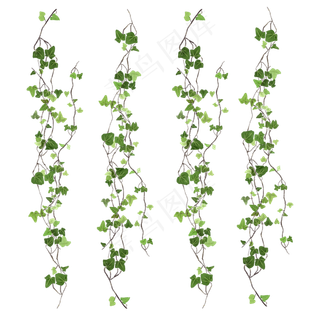藤蔓绿色漂浮叶子,免抠元素