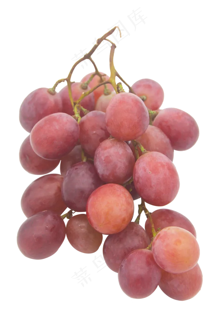 紫色水果提子(3000X3000(DPI:300))