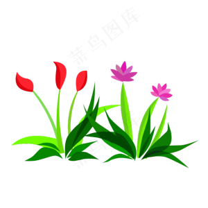 卡通草花