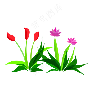 卡通草花