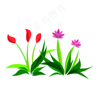 卡通草花